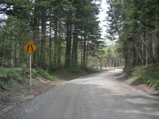 主要道道 樽前錦岡線