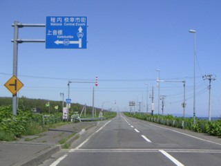 道道 上音標音標線