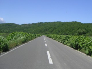 道道 上音標音標線