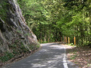 主要地方道 瑞浪大野瀬線
