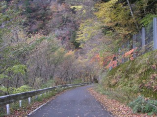 国道194号線(旧道)